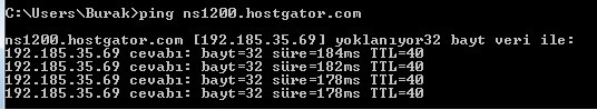 site hızlandırma hostgator değeri 1