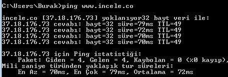 site hızlandırma hostgator ping degeri 2