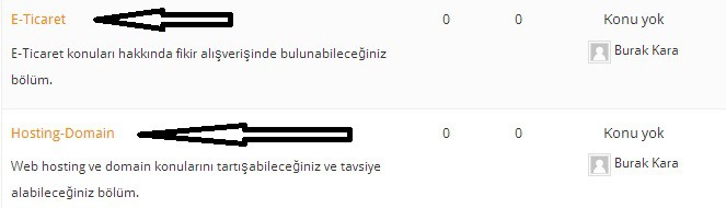 forum baslık rengi düzenleme bbpress