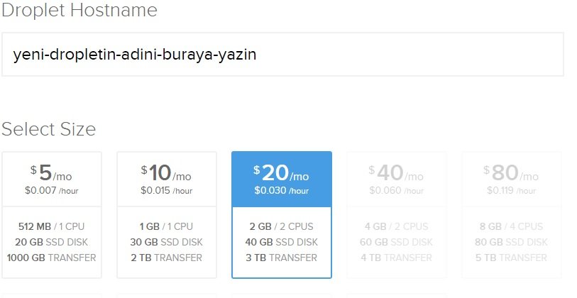 digitalocean-droplet-hostname-ve-boyut