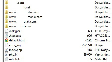 normal hostinglerde yer alan düzensiz domain taslağı