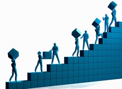 wordpress profesyonel ekip