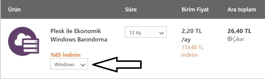 godaddy windows hosting tercihi