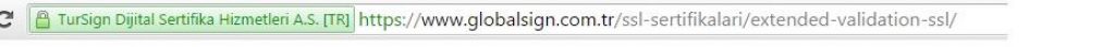 e-ticaret siteleri icin extended ssl ornegi