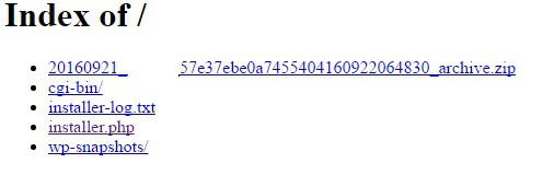 site yedeklemede atılması gereken ilk adımlar ve installer dosyasının çalıştırılması
